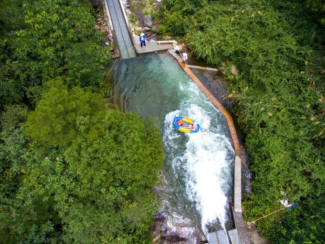森林负离子度假酒店,负氧离子氧吧酒店