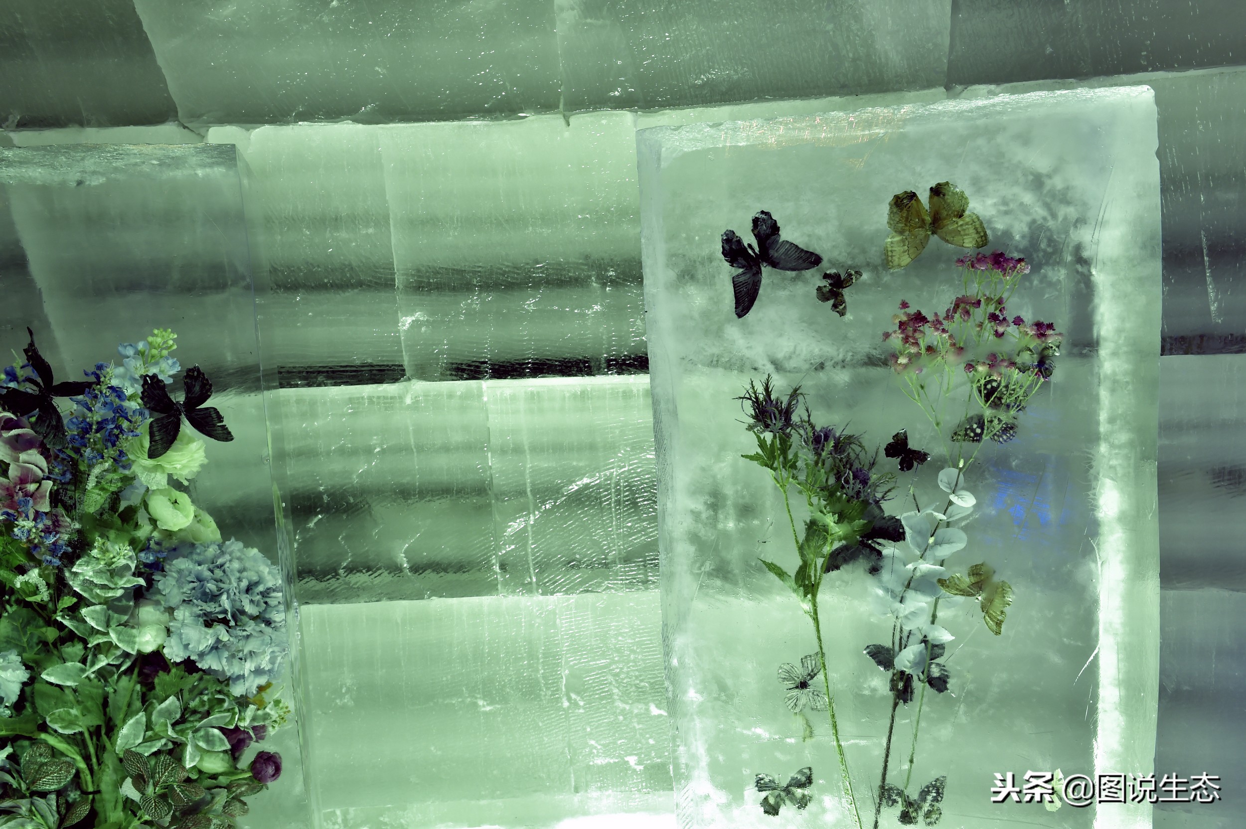 张家口的冬天怎么样,张家口的冬天冷不冷