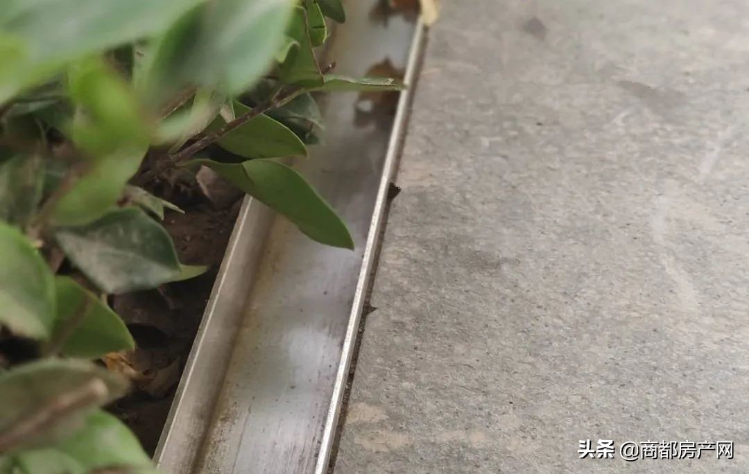 瀹炴帰鎴愮啛鏉垮潡,瀹炴帰杩愭渤鏂板煄鏉垮潡