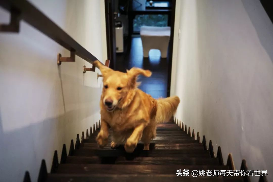 早晨的黄山悦榕庄,黄山悦榕庄特点