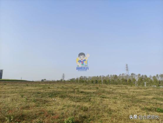 佳兆业滨湖和鸣开盘现场,2023交房佳兆业滨湖和鸣靠谱吗