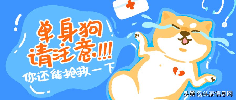 你是选择牵手还是继续当条狗,这么表白,让她感动得一塌糊涂