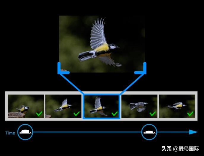 奥林巴斯单反全系列相机,奥林巴斯三千相机推荐