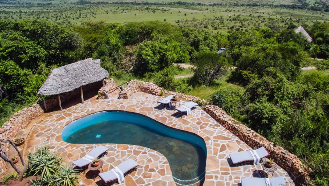 世间稀有的白色长颈鹿母子，在非洲被残忍猎杀，发现时只剩骨骼