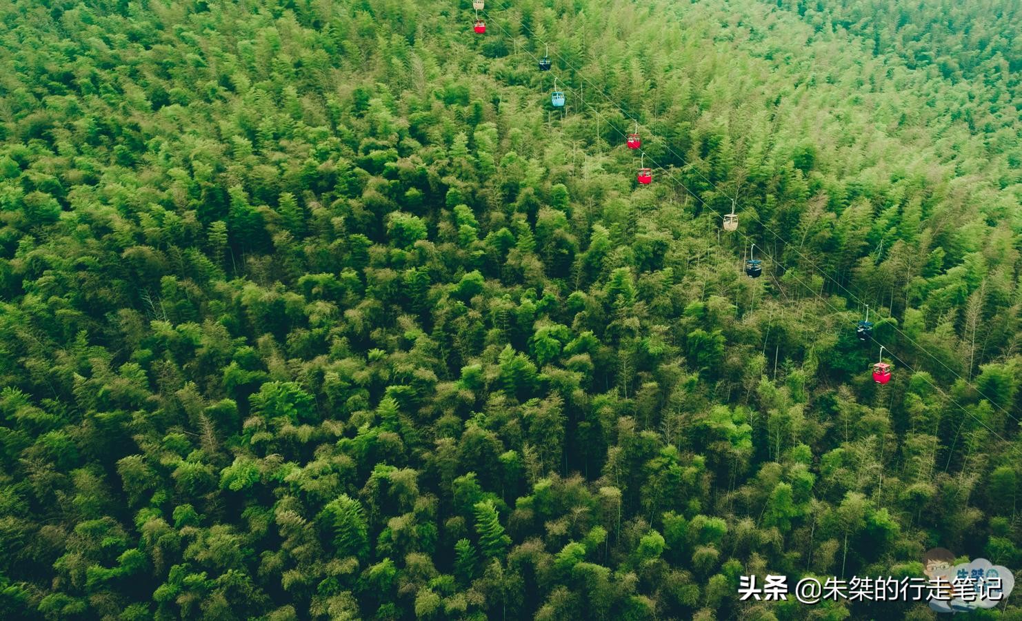 溧阳市区天目湖鱼头汤哪家最正宗,来溧阳一定要尝天目湖鱼头汤