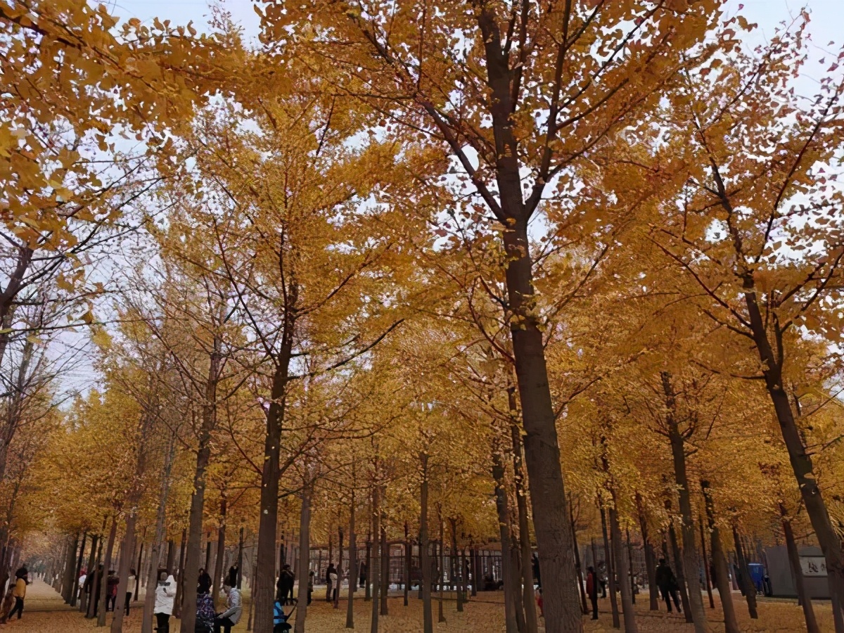 打卡北京十大古迹,打卡北京100个景点