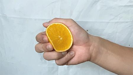 袁隆平摘冰糖橙,袁隆平到麻阳为冰糖橙提名