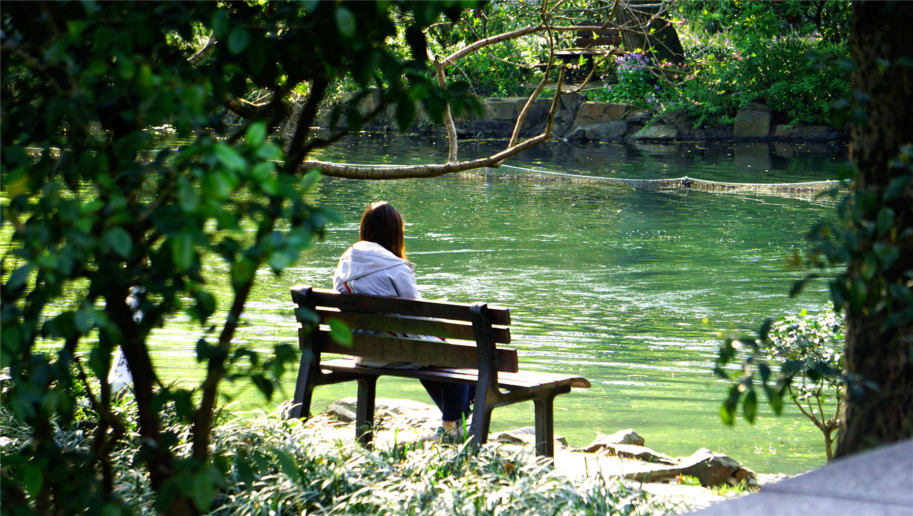 杭州西湖游玩攻略大全,杭州西湖最佳游玩攻略