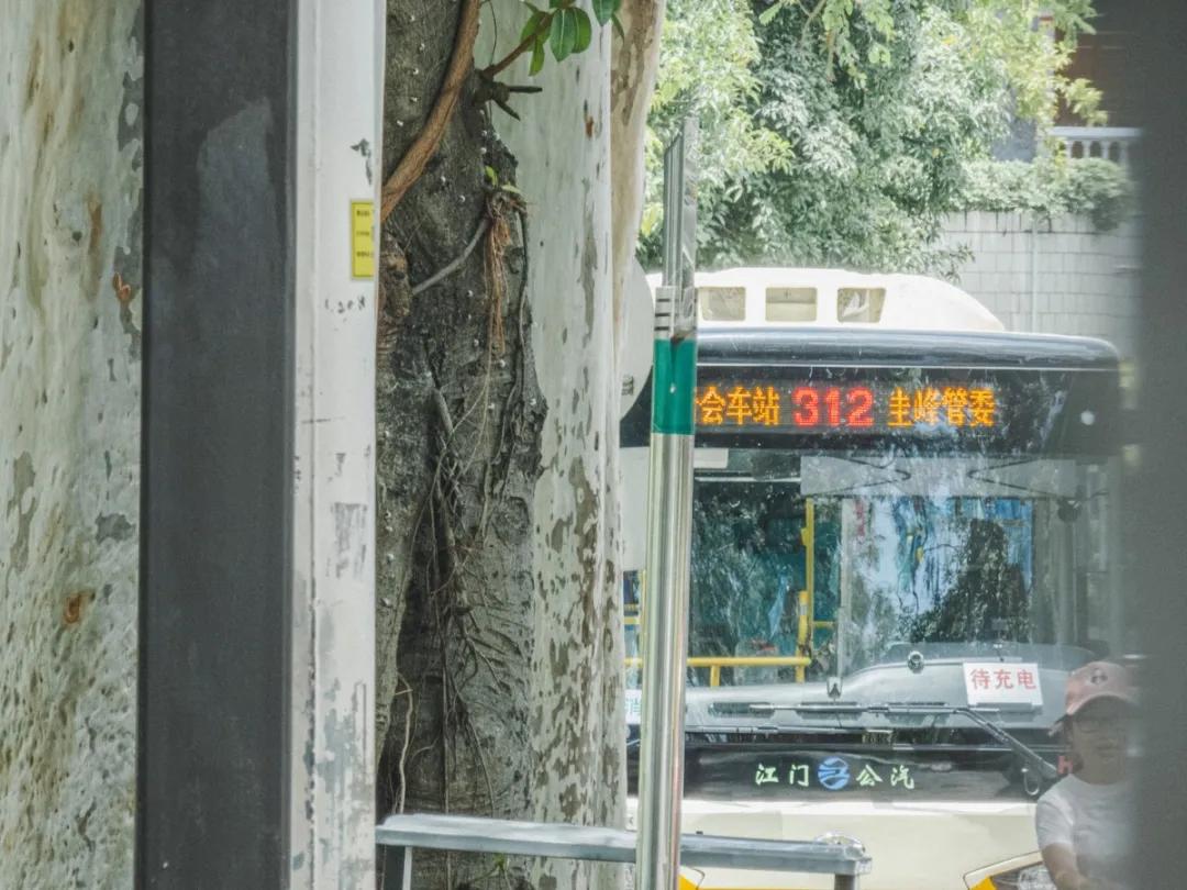 江门郊外散步,江门适合散步的地方