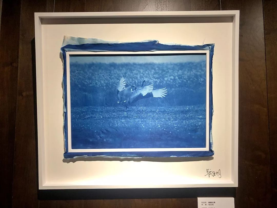 1小时逃离无锡，值得来魔都打卡的马路网红店