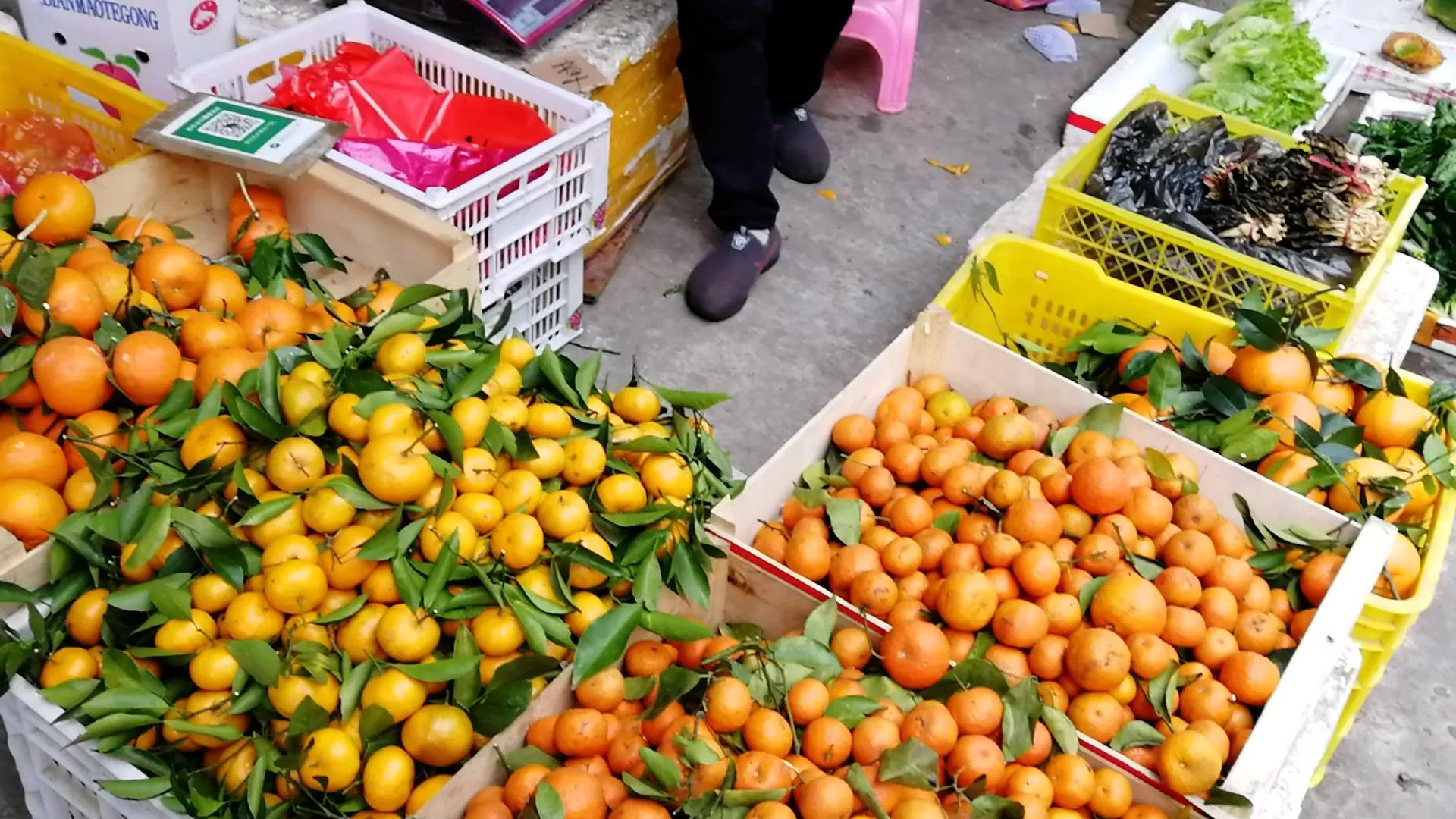 阳江海陵岛白蒲镇海鲜市场,海陵岛白蒲镇有什么好玩的地方