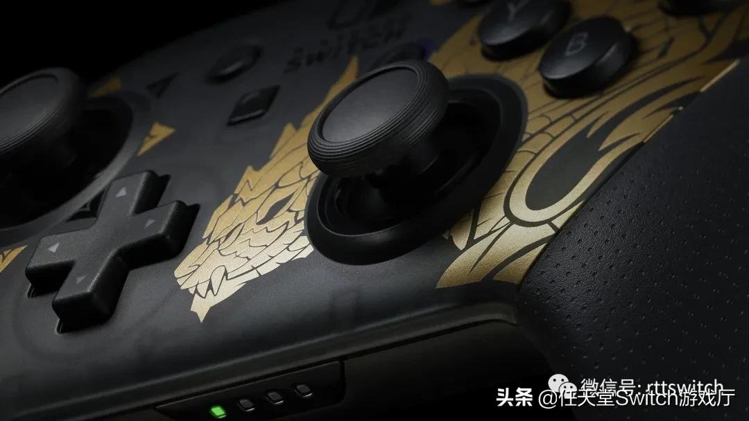 switch怪猎崛起任务毁灭之鸟龙,switch动物之森创建新号