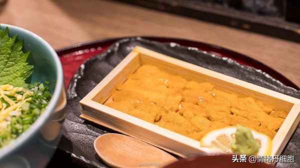 邮轮游选择哪个游轮好,邮轮旅游全攻略公主号