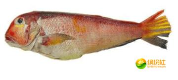 舟山4月份海鲜攻略,舟山海鲜代加工攻略