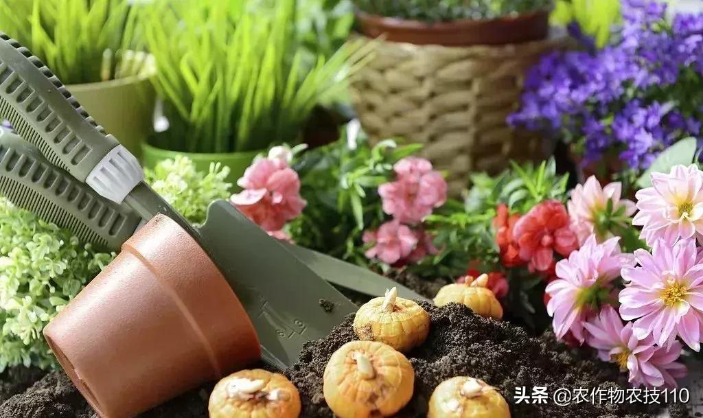 农村一千元小本创业加盟,农村冷门小本创业生意