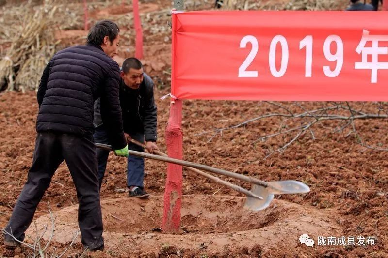 我叫成县，这是我2019年的自拍照~