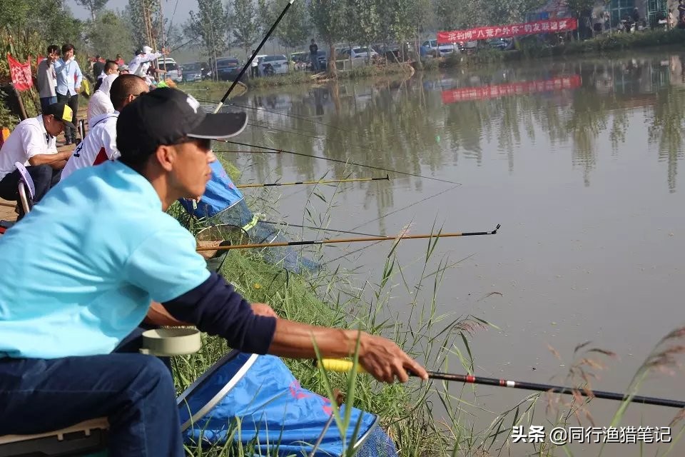 四种预防方法，四种扑救措施——轻松应对鱼竿拔节问题