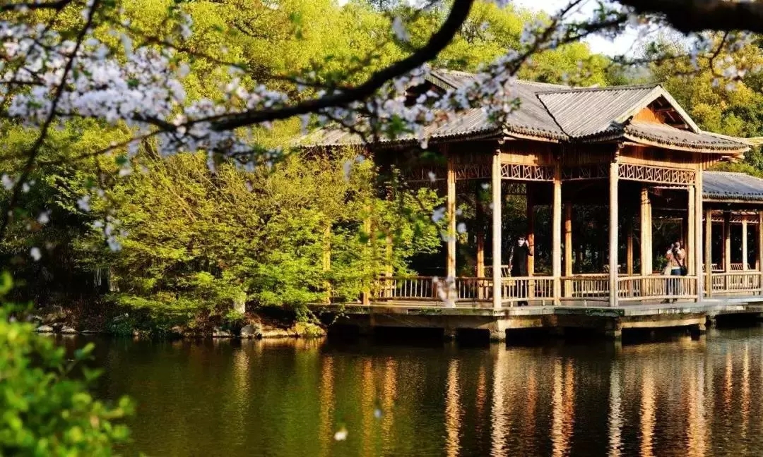 只有早起的老杭州才知道的秘密福利，西湖的绝佳搭档