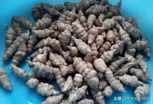 春天吃的野菜是不是都对肝有好处,春天吃得多对身体有好处吗