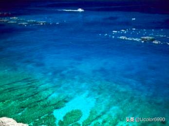 在这些珊瑚海蓝色的车里听《珊瑚海》是怎样的感受？