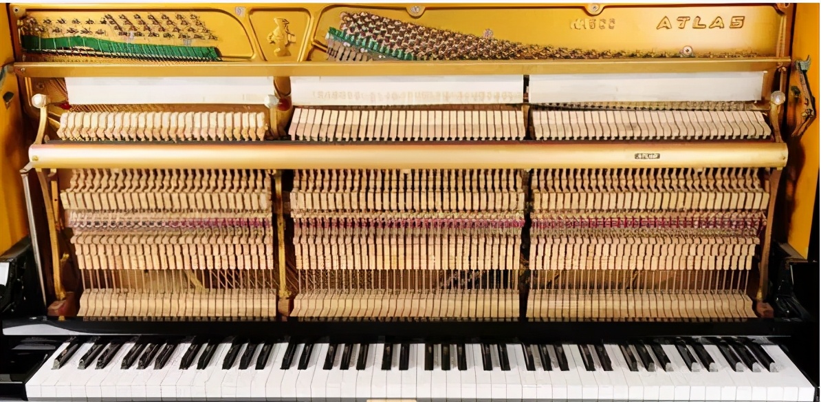 钢琴电子琴电钢琴哪个好学,钢琴电子琴电钢琴区别