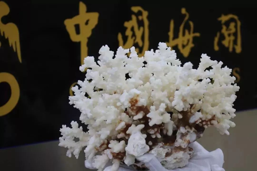 去香港有哪些要注意的事,到香港旅游一定要注意的5件事