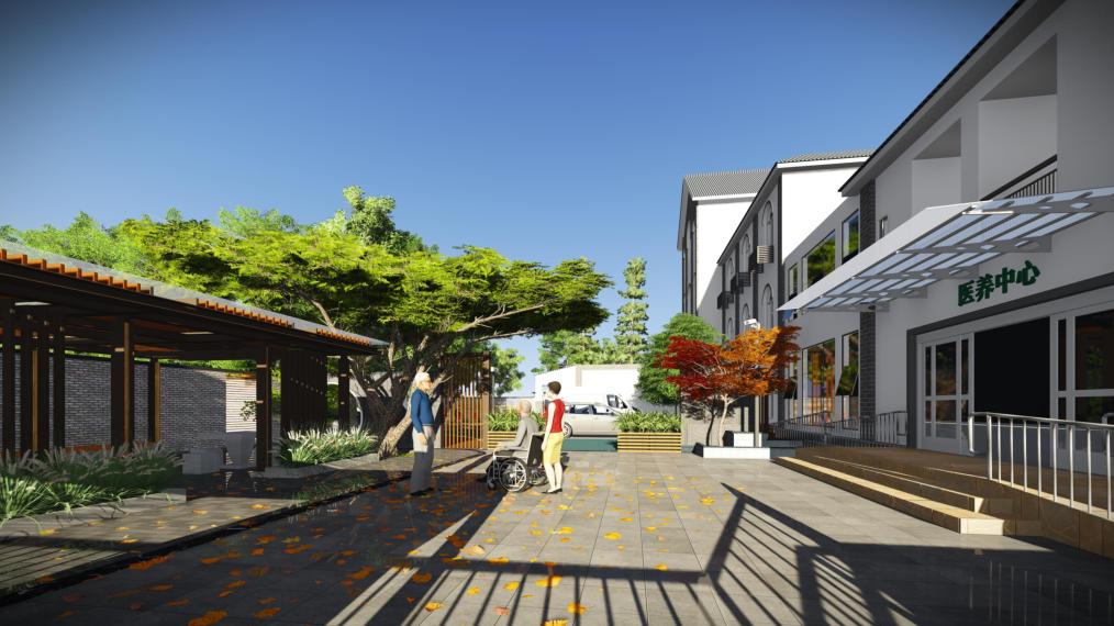 新津县公立卫生院,成都市医疗卫生服务体系规划