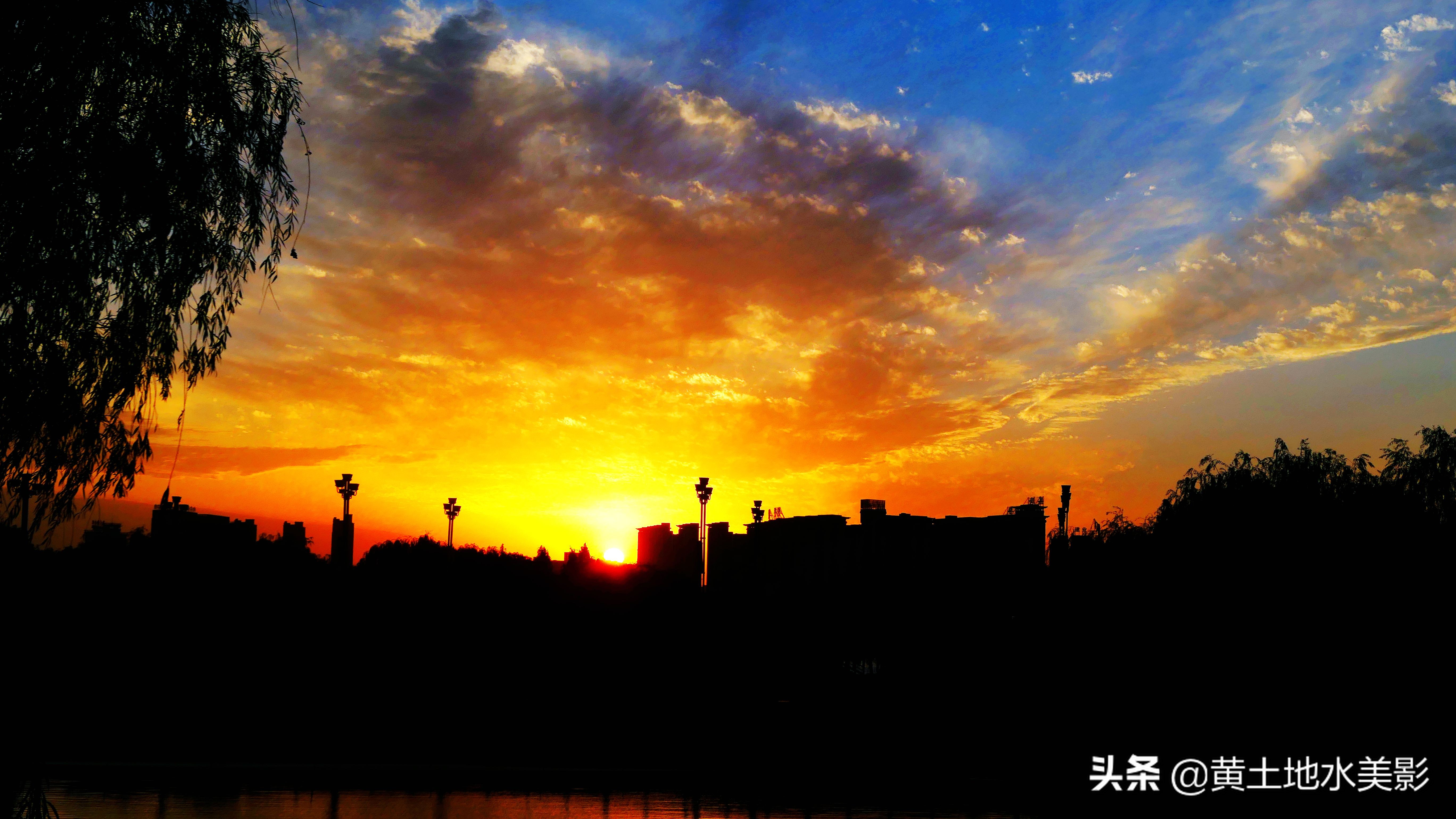 占地590亩的湿地公园,野生动物比较多的旅游景区