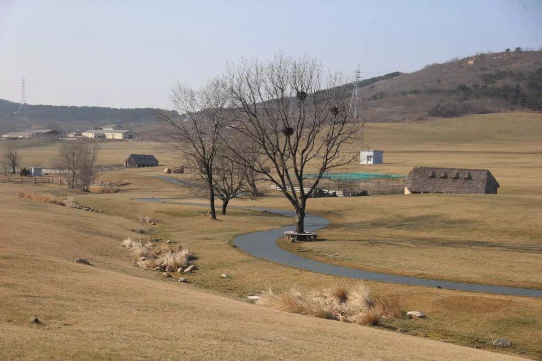 体验+创新+成长首届三寰牧场冬季大集开启