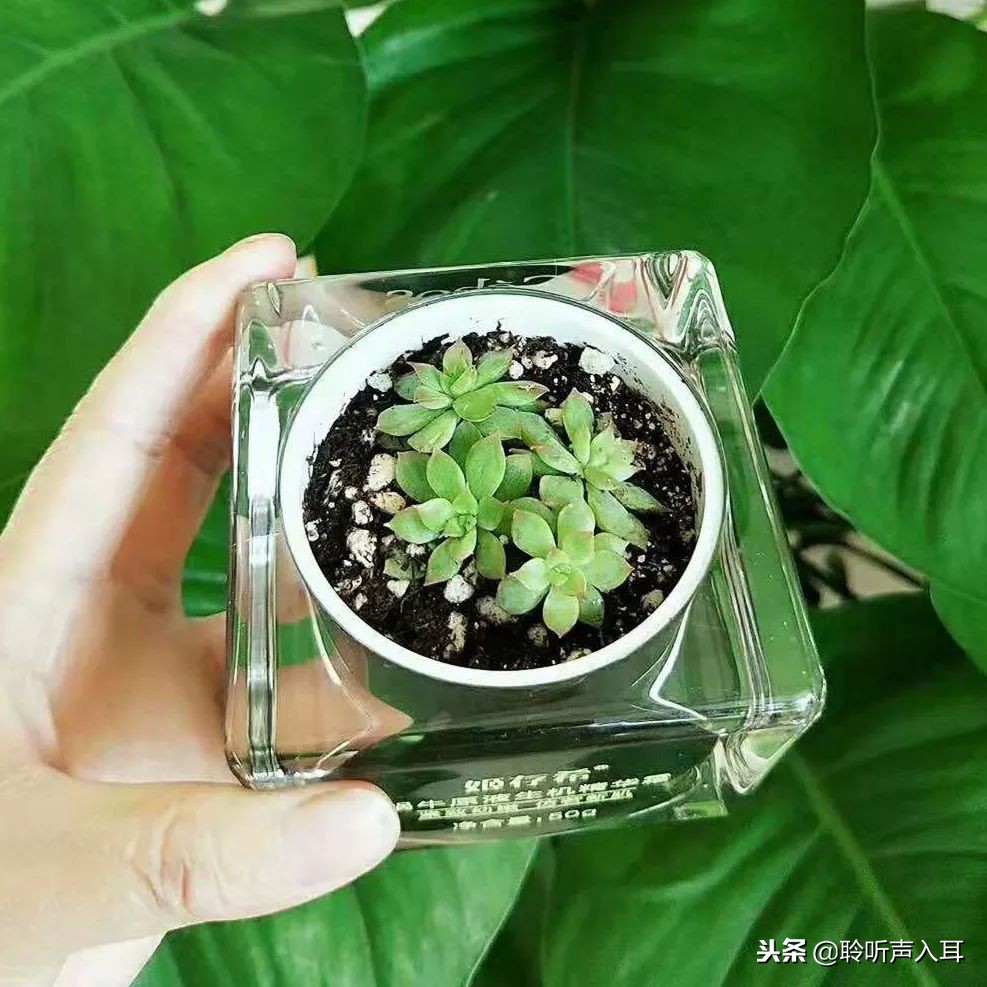 保护护肤,如何保护专柜护肤品套盒不脏