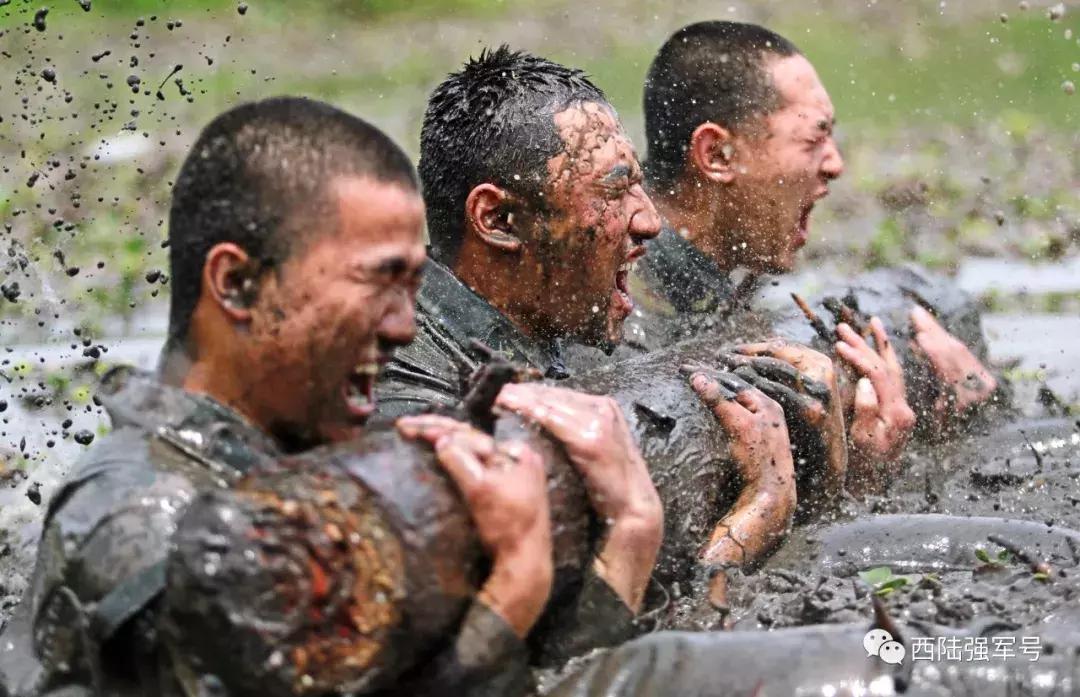 77集团军：不只是山地铁拳，更是全域尖兵