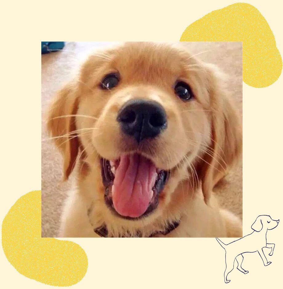 距离RUOK?Week只有一天|羊驼君准备好了,你呢?