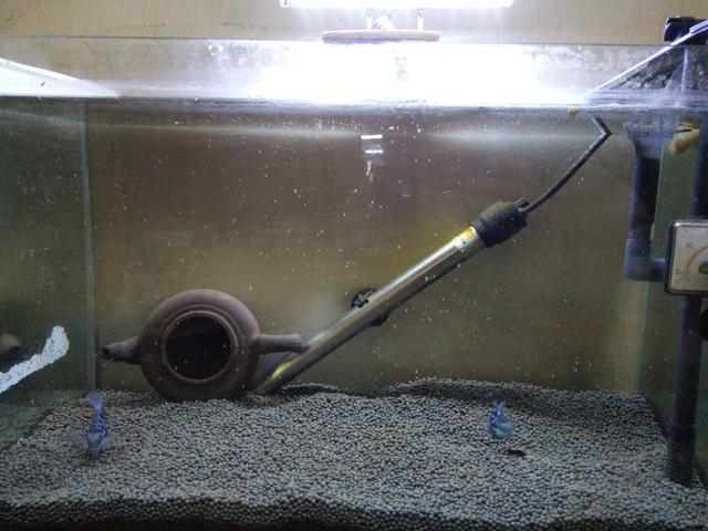 鱼缸三合一水泵必须放在水里吗,鱼缸水泵出水有气泡是什么原因