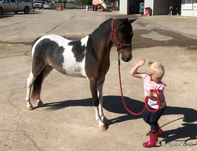 记录孩子第一次学骑马,初学者儿童怎么学习骑马