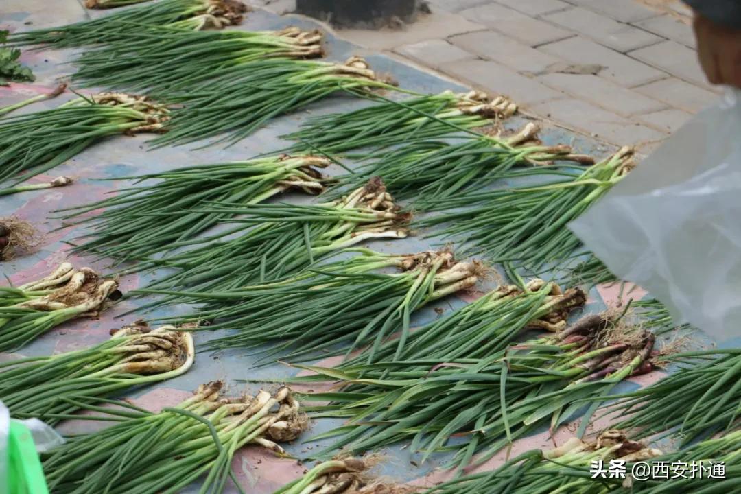 在西安,你一定要逛一次万寿路的早市