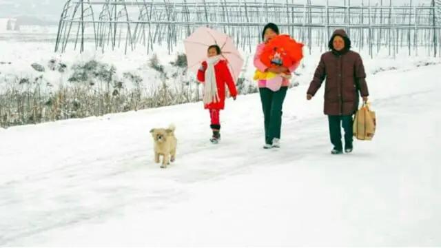 农村的俗语大家听过多少,农村老一辈留下来二十四句老俗语