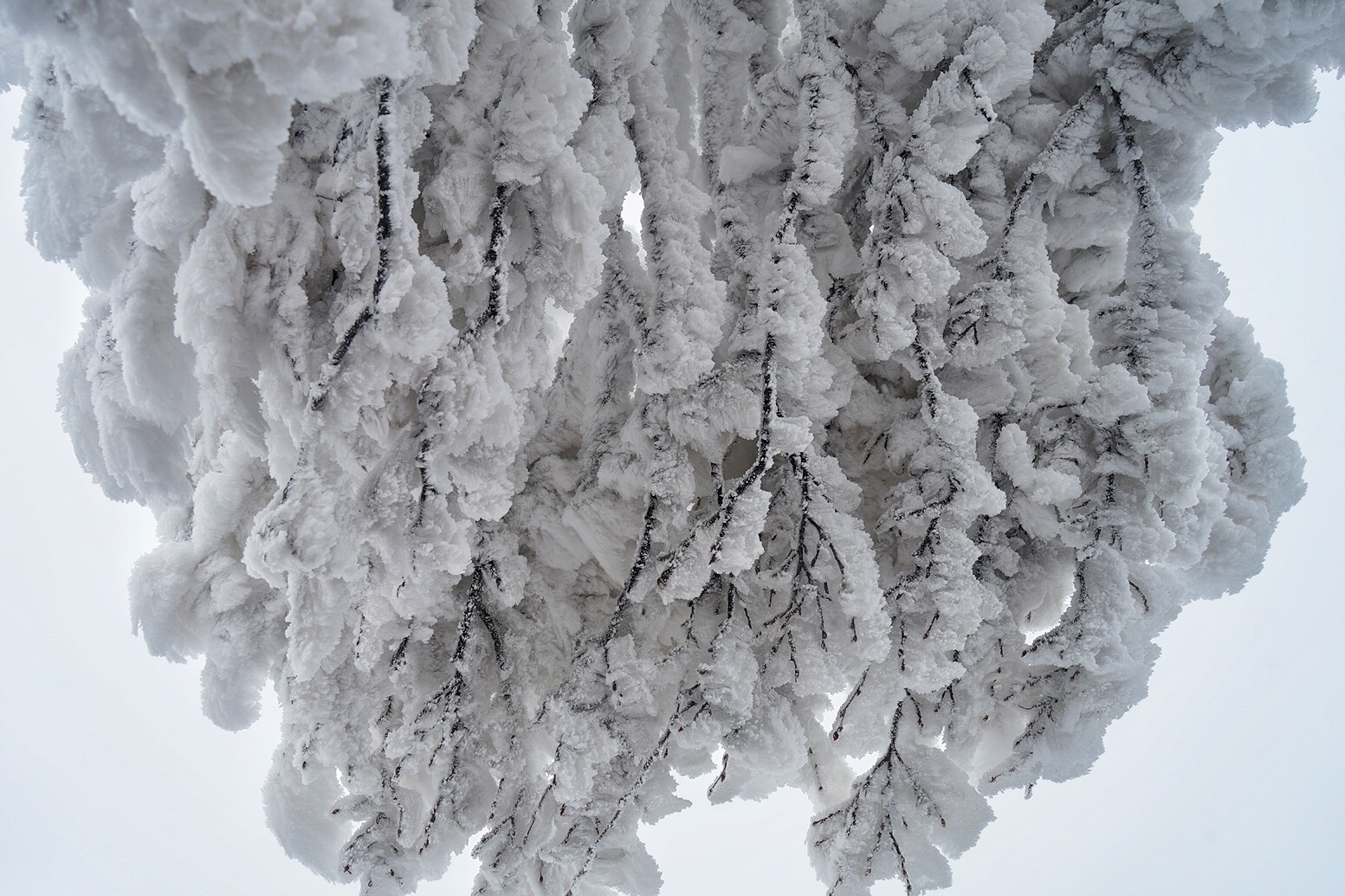 张家界雪季攻略,冬天湖南张家界攻略