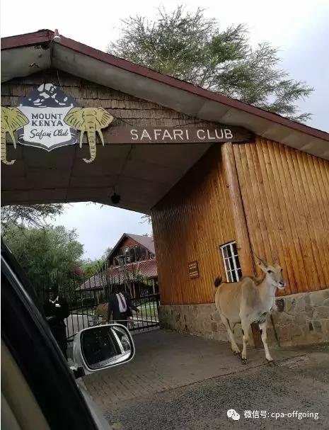 这个野奢的国度，欧美、日韩人都爱去，为何我们国家没人去？