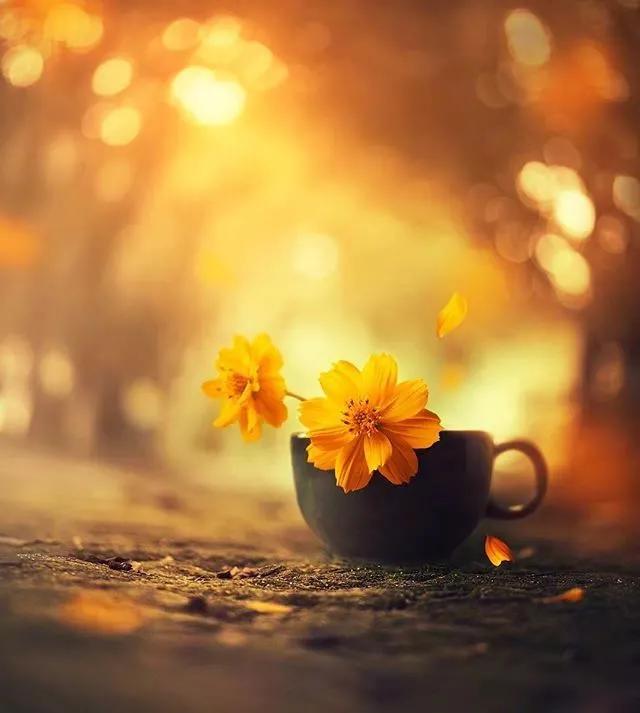 所谓一切治愈最终都靠自愈,抱着治愈的心态去等待自愈