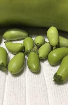 一个90后全职妈妈,一个90后的全职妈妈