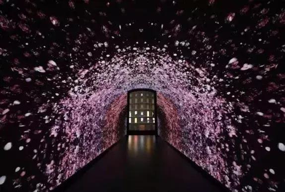 迪奥小姐爱与玫瑰展览吴谨言,迪奥小姐爱与玫瑰晚会