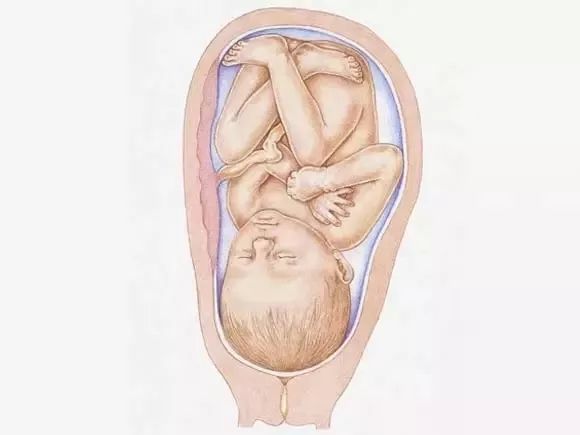 孕期1-40周胎儿发育全过程,孕一周到40周胎儿发育全过程