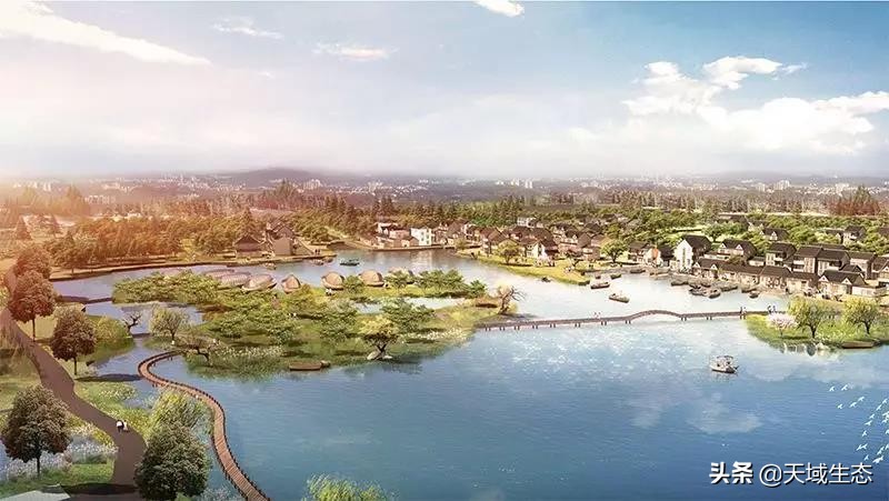 杭州市首届海内外农创客大赛,农创客大赛