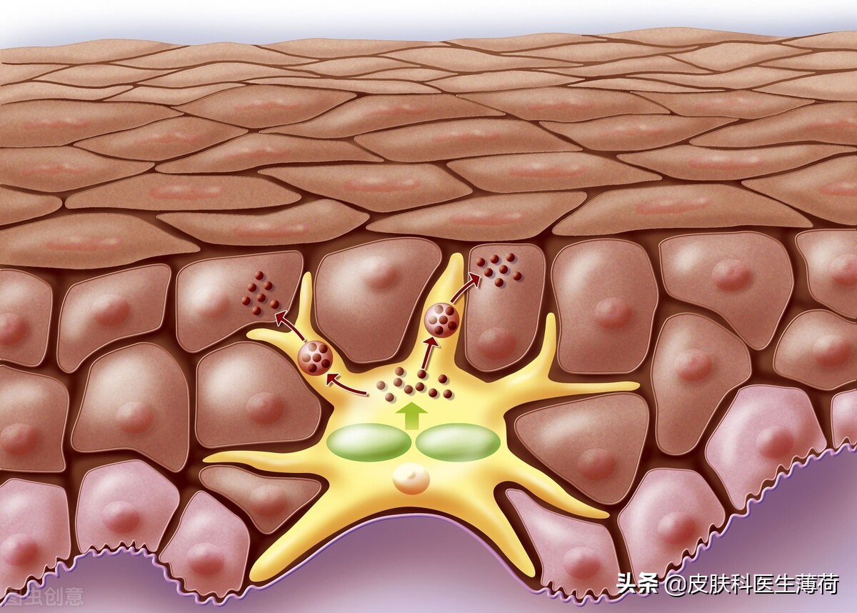 皮肤科医生教你如何处理痘印,医院的皮肤科主治痘痘痘印吗
