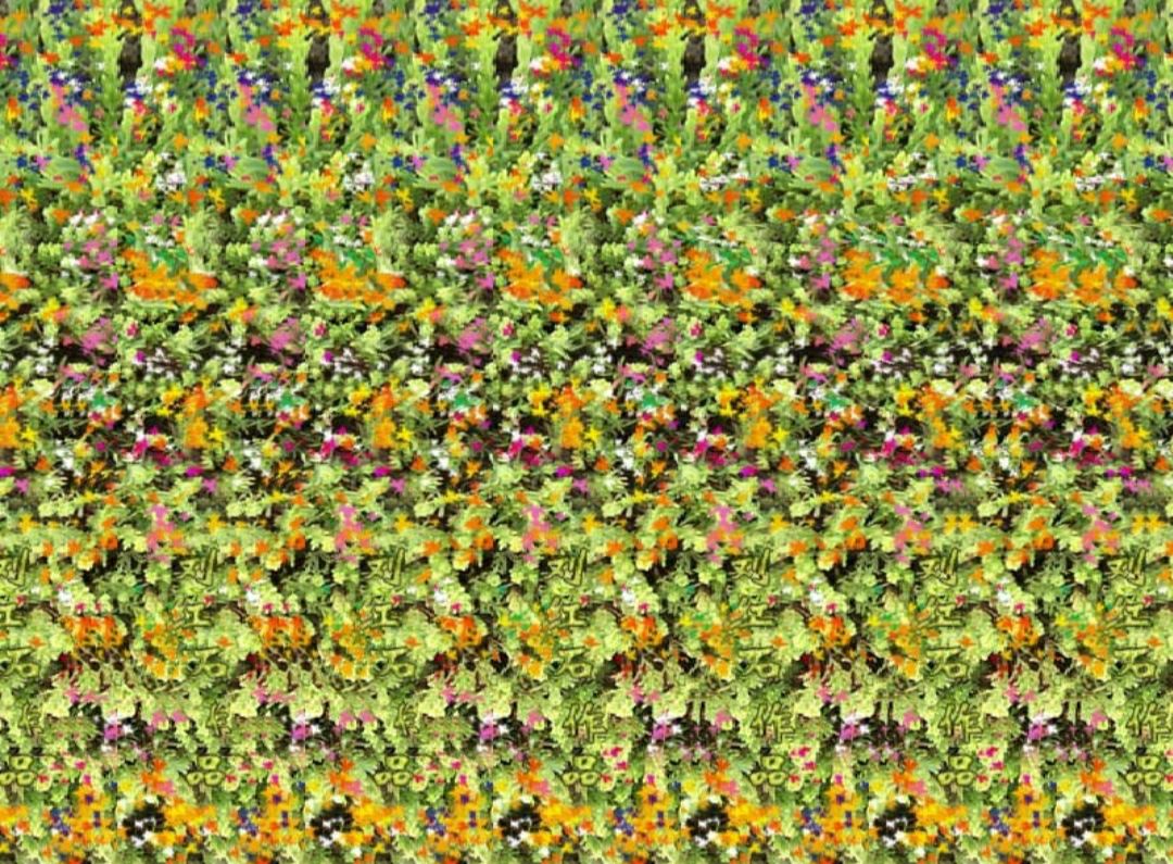 有意思的三维视频,三维立体图片大全