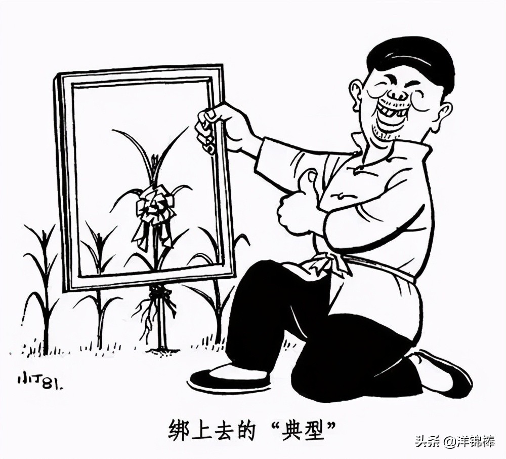 枫泾古镇怎么样,枫泾古镇景区简介