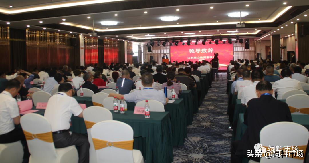 山东活力集团,长清区活力集团