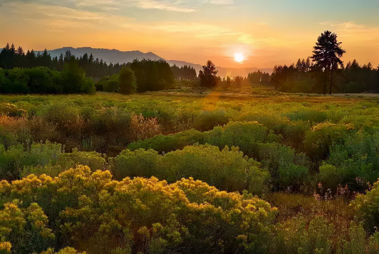 为作品赋予高级感的7种拍摄技巧,如何才能拍出十分奇怪的拍摄效果