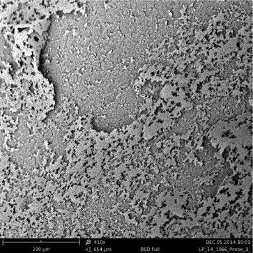 sem扫描电镜原理及应用,sem扫描电镜分析的作用