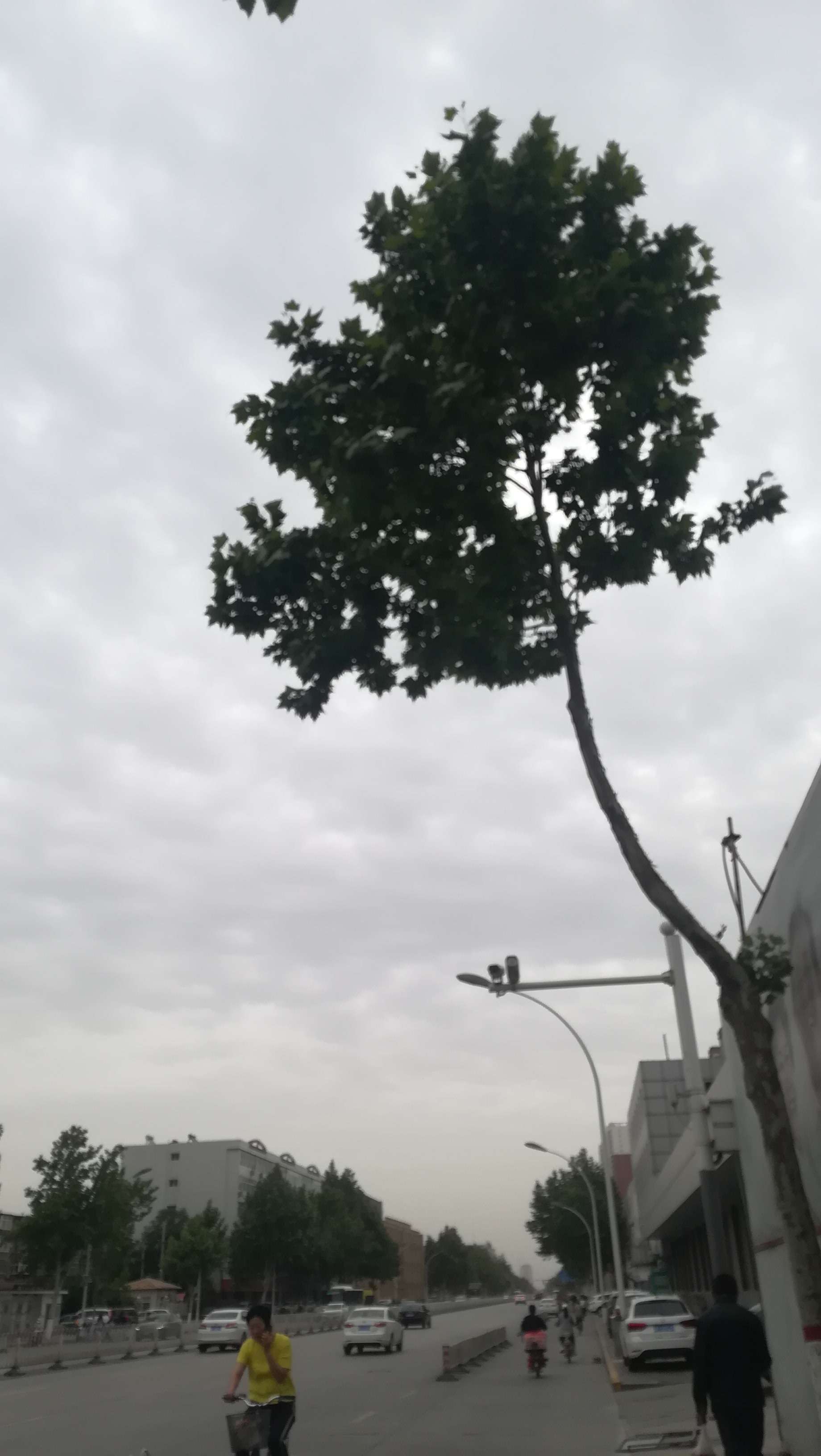 保定日记300字,保定日记最新版